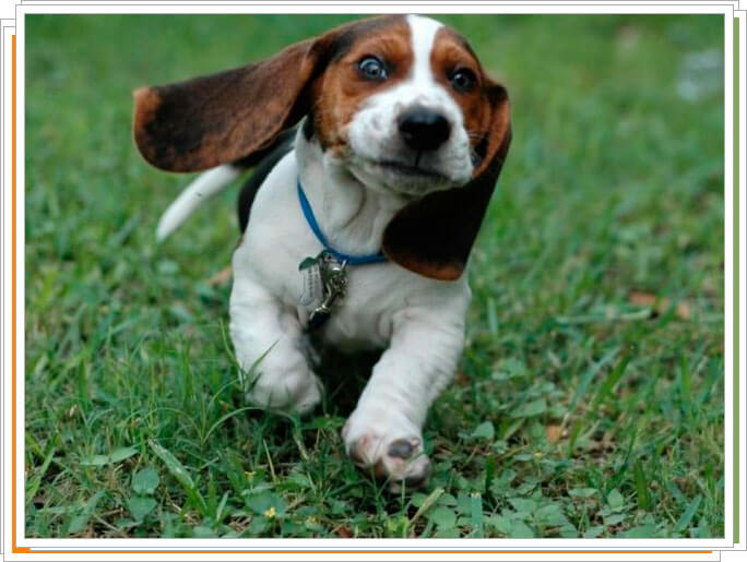 Автоматический режим фокусировки